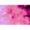 13 Brûlure de Rose - Pierre Guillaume Paris - Eau de parfum