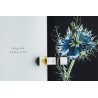 Migration de L’Arbre - Senyokô - Eau de parfum