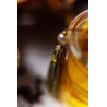 Les Indes Galantes - Parfums MDCI - Paris Eau de Parfum